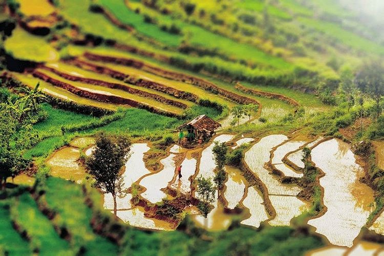 Desa Wisata Terbaik Pada Tahun 2014 Desa Wisata Wukirsari Bantul Desa Wisata Terbaik Pada Tahun 2014 Desa Wisata Wukirsari Bantul